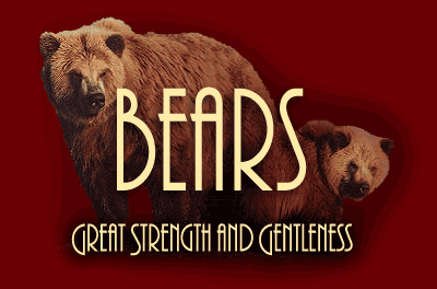 Bears are the sign of great strength and gentleness among the native american indians.