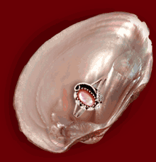  Pink mussel shell varies in color from a light, almost white shade, to a rich, medium pink.